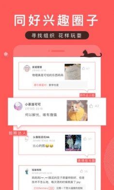 堆糖无限制下载版